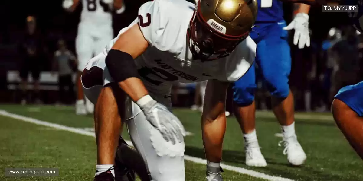 🚀 突破极限，超越自我，官网与你共赴体育新征程！